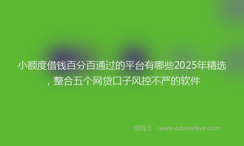小额度借钱百分百通过的平台有哪些2025年精选，整合五个网贷口子风控不严的软件