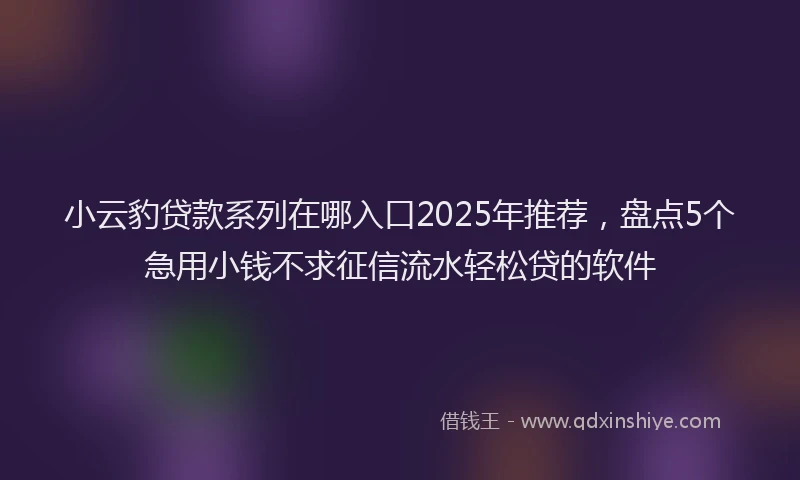 小云豹贷款系列在哪入口2025年推荐，盘点5个急用小钱不求征信流水轻松贷的软件