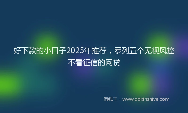 好下款的小口子2025年推荐，罗列五个无视风控不看征信的网贷