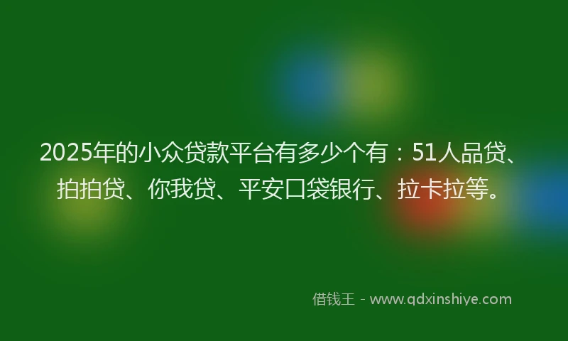 2025年的小众贷款平台有多少个有：51人品贷、拍拍贷、你我贷、平安口袋银行、拉卡拉等。