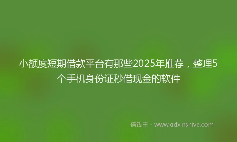 小额度短期借款平台有那些2025年推荐，整理5个手机身份证秒借现金的软件