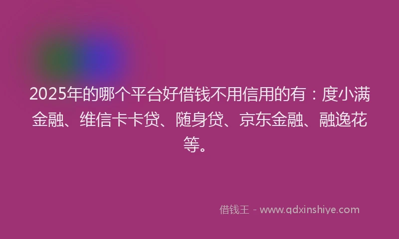 2025年的哪个平台好借钱不用信用的有：度小满金融、维信卡卡贷、随身贷、京东金融、融逸花等。