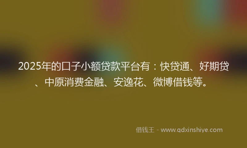 2025年的口子小额贷款平台有：快贷通、好期贷、中原消费金融、安逸花、微博借钱等。