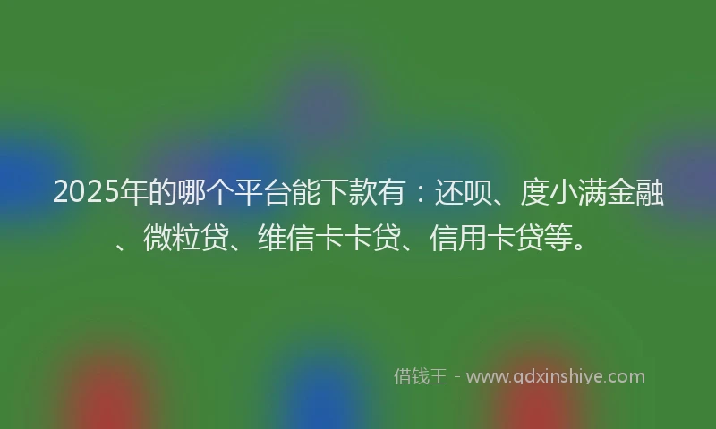 2025年的哪个平台能下款有：还呗、度小满金融、微粒贷、维信卡卡贷、信用卡贷等。