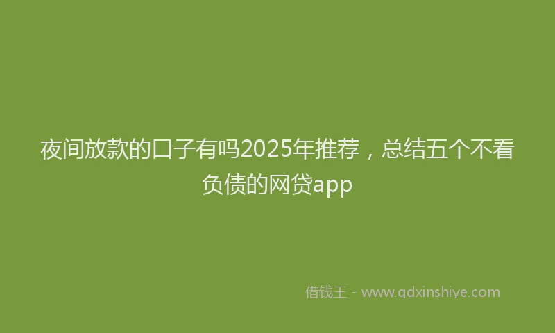 夜间放款的口子有吗2025年推荐，总结五个不看负债的网贷app