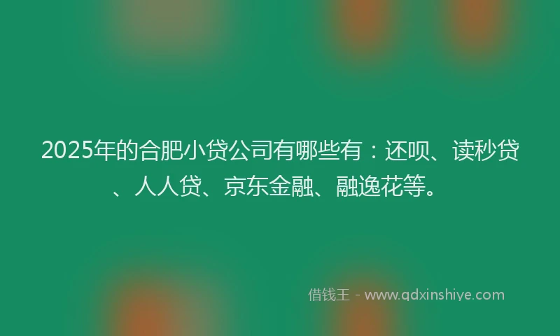 2025年的合肥小贷公司有哪些有：还呗、读秒贷、人人贷、京东金融、融逸花等。