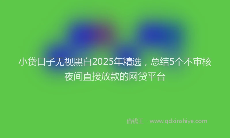 小贷口子无视黑白2025年精选，总结5个不审核夜间直接放款的网贷平台
