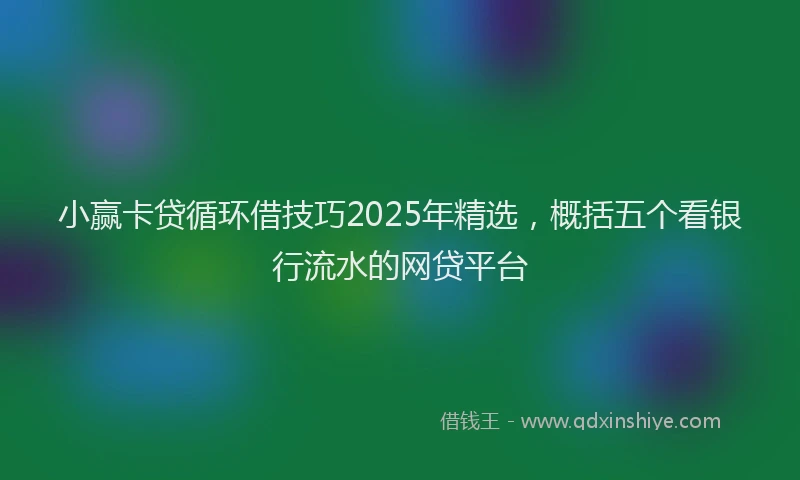小赢卡贷循环借技巧2025年精选，概括五个看银行流水的网贷平台