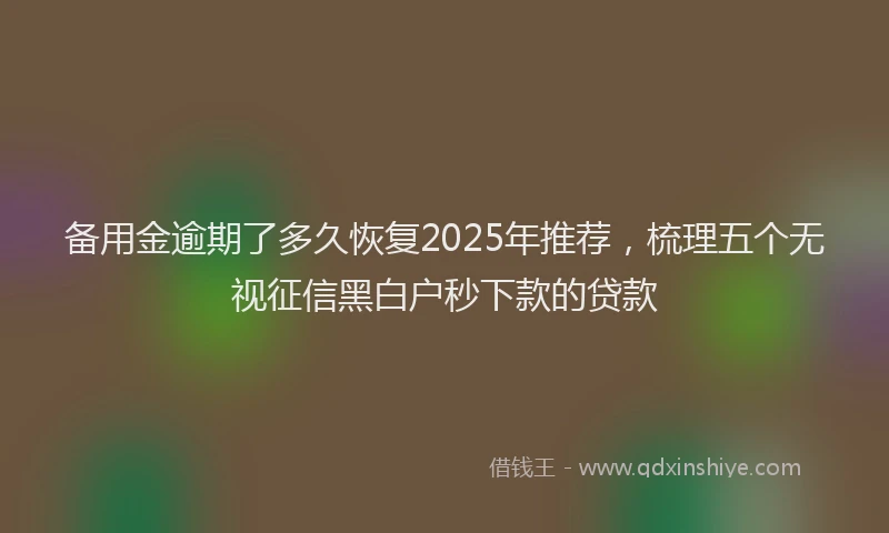 备用金逾期了多久恢复2025年推荐，梳理五个无视征信黑白户秒下款的贷款