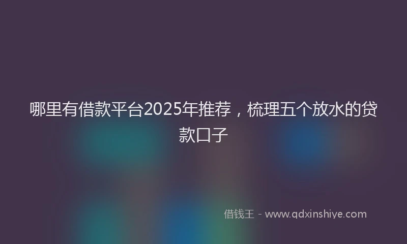 哪里有借款平台2025年推荐，梳理五个放水的贷款口子