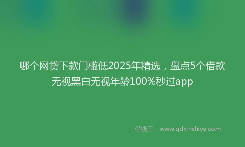 哪个网贷下款门槛低2025年精选，盘点5个借款无视黑白无视年龄100%秒过app