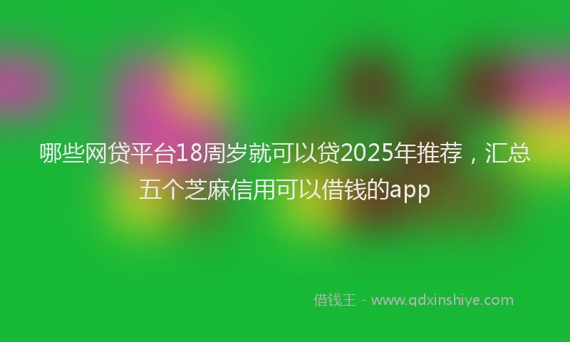 哪些网贷平台18周岁就可以贷2025年推荐，汇总五个芝麻信用可以借钱的app