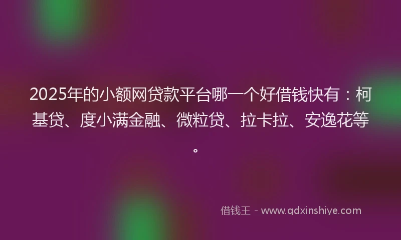 2025年的小额网贷款平台哪一个好借钱快有：柯基贷、度小满金融、微粒贷、拉卡拉、安逸花等。