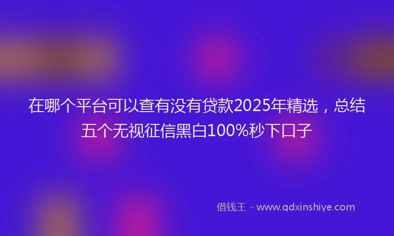 在哪个平台可以查有没有贷款2025年精选，总结五个无视征信黑白100%秒下口子