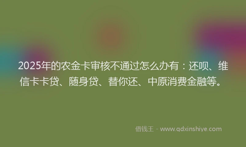 2025年的农金卡审核不通过怎么办有：还呗、维信卡卡贷、随身贷、替你还、中原消费金融等。