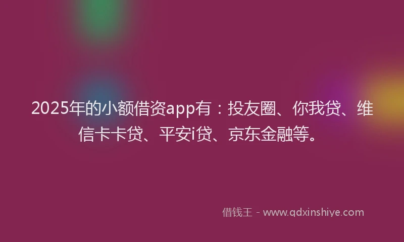 2025年的小额借资app有：投友圈、你我贷、维信卡卡贷、平安i贷、京东金融等。
