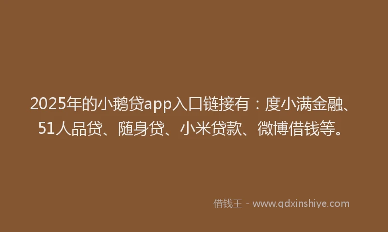 2025年的小鹅贷app入口链接有：度小满金融、51人品贷、随身贷、小米贷款、微博借钱等。