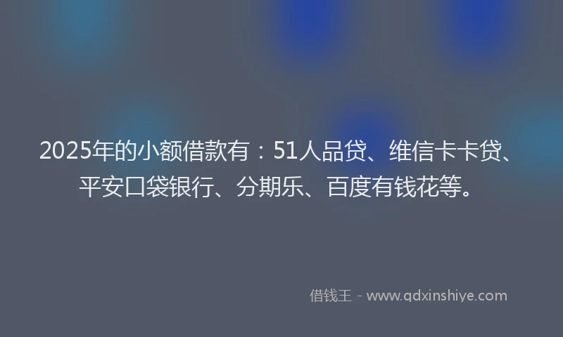 2025年的小额借款有：51人品贷、维信卡卡贷、平安口袋银行、分期乐、百度有钱花等。