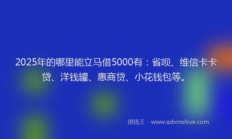 2025年的哪里能立马借5000有：省呗、维信卡卡贷、洋钱罐、惠商贷、小花钱包等。