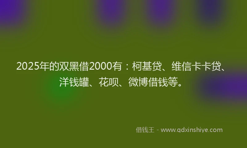 2025年的双黑借2000有：柯基贷、维信卡卡贷、洋钱罐、花呗、微博借钱等。