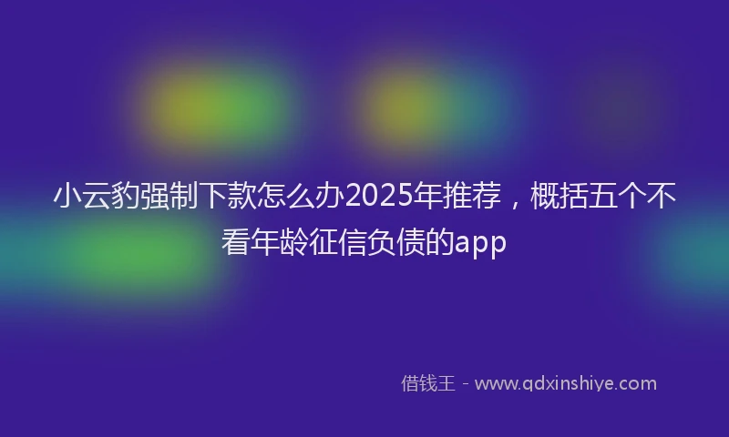 小云豹强制下款怎么办2025年推荐，概括五个不看年龄征信负债的app