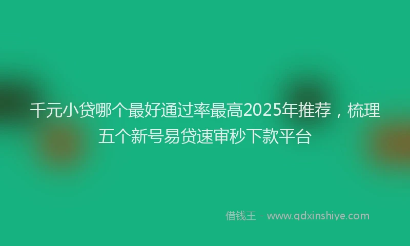 千元小贷哪个最好通过率最高2025年推荐，梳理五个新号易贷速审秒下款平台
