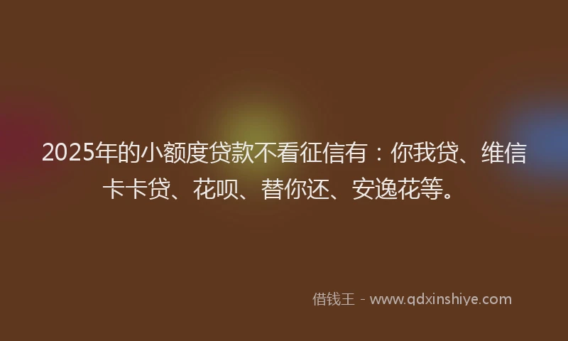 2025年的小额度贷款不看征信有：你我贷、维信卡卡贷、花呗、替你还、安逸花等。