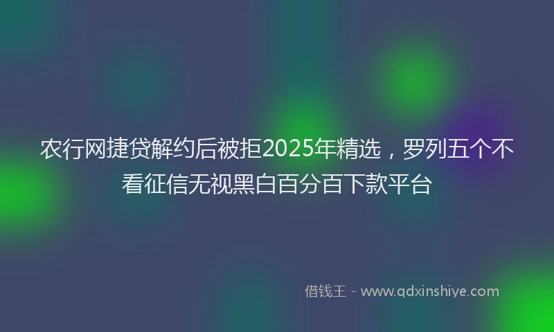 农行网捷贷解约后被拒2025年精选，罗列五个不看征信无视黑白百分百下款平台