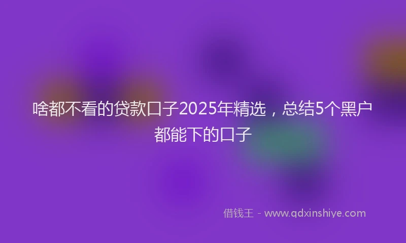 啥都不看的贷款口子2025年精选，总结5个黑户都能下的口子