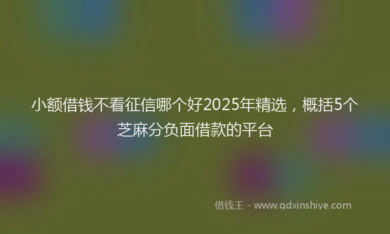 小额借钱不看征信哪个好2025年精选，概括5个芝麻分负面借款的平台