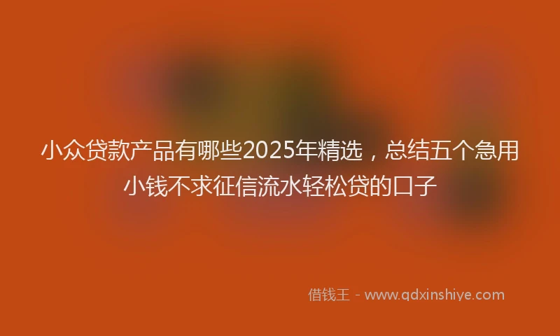 小众贷款产品有哪些2025年精选，总结五个急用小钱不求征信流水轻松贷的口子