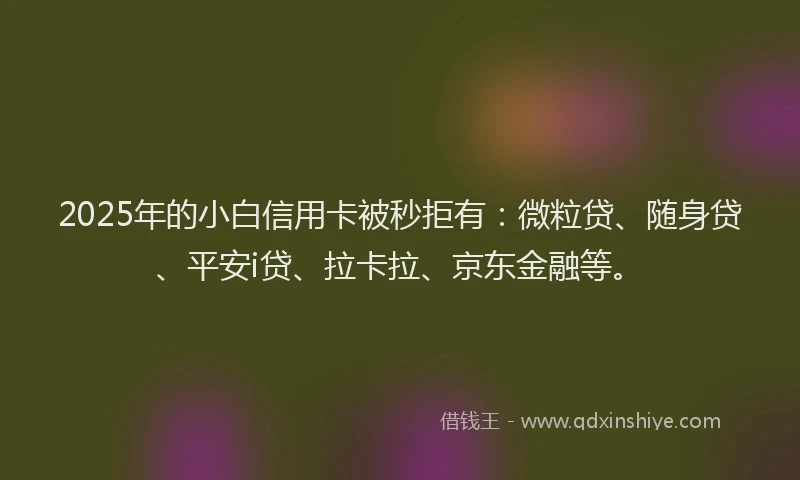 2025年的小白信用卡被秒拒有：微粒贷、随身贷、平安i贷、拉卡拉、京东金融等。