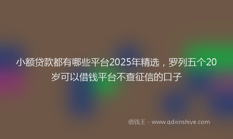 小额贷款都有哪些平台2025年精选，罗列五个20岁可以借钱平台不查征信的口子