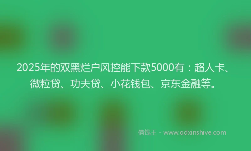 2025年的双黑烂户风控能下款5000有：超人卡、微粒贷、功夫贷、小花钱包、京东金融等。