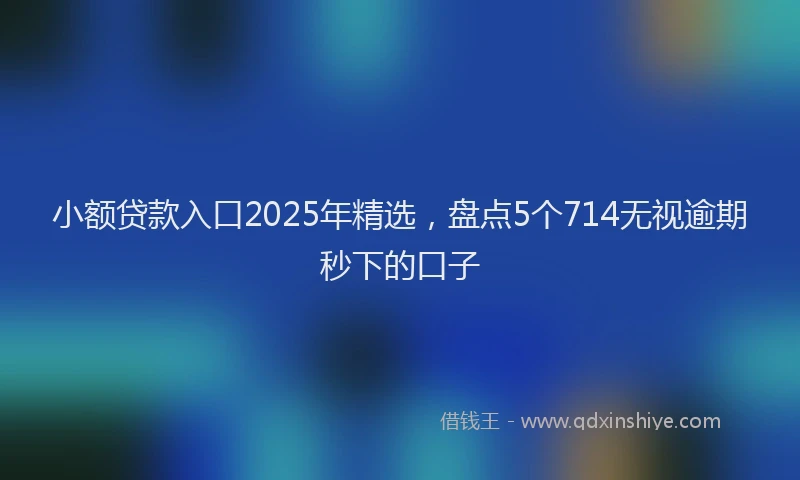 小额贷款入口2025年精选，盘点5个714无视逾期秒下的口子