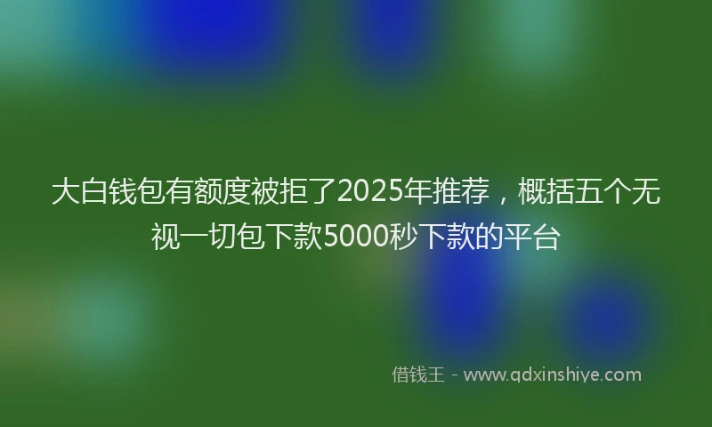 大白钱包有额度被拒了2025年推荐，概括五个无视一切包下款5000秒下款的平台