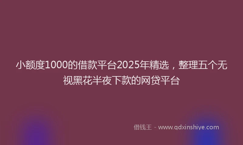 小额度1000的借款平台2025年精选，整理五个无视黑花半夜下款的网贷平台