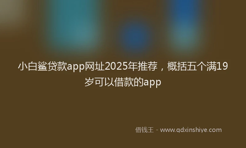 小白鲨贷款app网址2025年推荐，概括五个满19岁可以借款的app