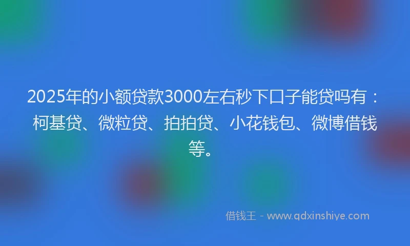 2025年的小额贷款3000左右秒下口子能贷吗有：柯基贷、微粒贷、拍拍贷、小花钱包、微博借钱等。