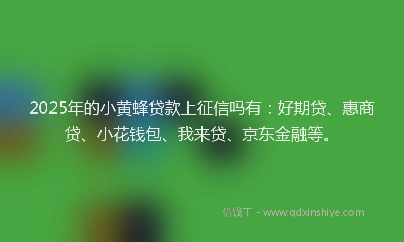 2025年的小黄蜂贷款上征信吗有：好期贷、惠商贷、小花钱包、我来贷、京东金融等。