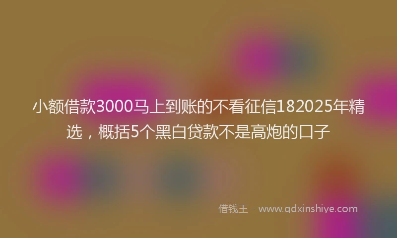 小额借款3000马上到账的不看征信182025年精选，概括5个黑白贷款不是高炮的口子