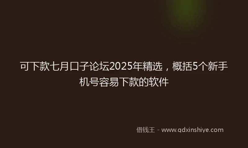 可下款七月口子论坛2025年精选，概括5个新手机号容易下款的软件