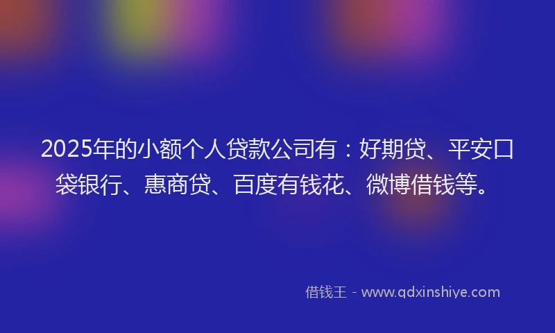 2025年的小额个人贷款公司有：好期贷、平安口袋银行、惠商贷、百度有钱花、微博借钱等。