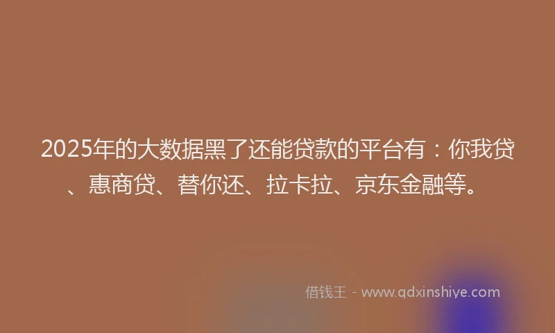 2025年的大数据黑了还能贷款的平台有：你我贷、惠商贷、替你还、拉卡拉、京东金融等。