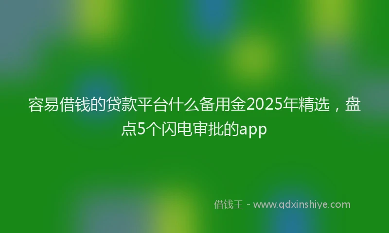 容易借钱的贷款平台什么备用金2025年精选，盘点5个闪电审批的app