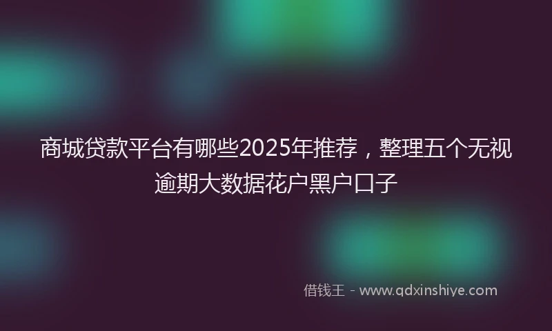 商城贷款平台有哪些2025年推荐，整理五个无视逾期大数据花户黑户口子