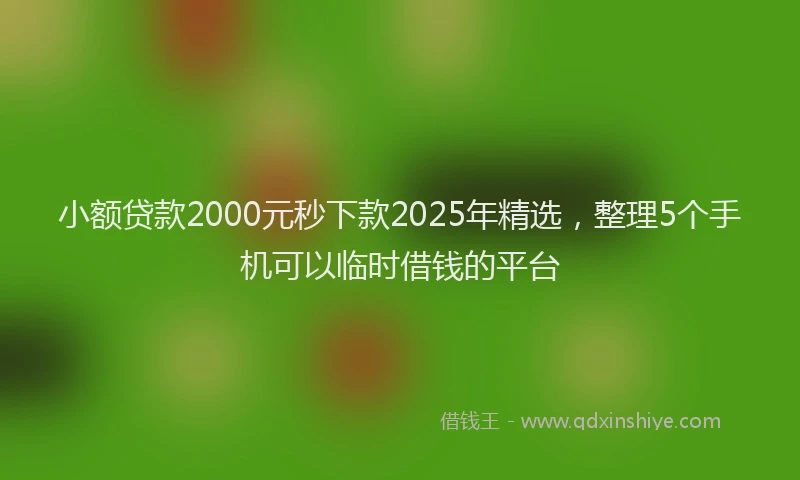 小额贷款2000元秒下款2025年精选，整理5个手机可以临时借钱的平台