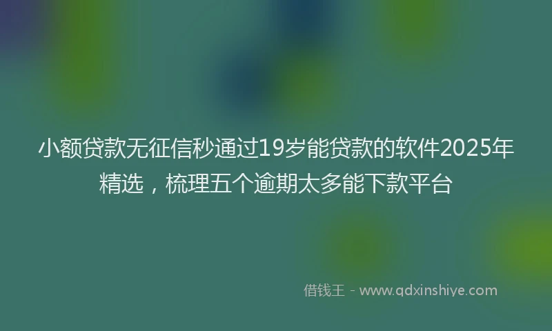 小额贷款无征信秒通过19岁能贷款的软件2025年精选，梳理五个逾期太多能下款平台