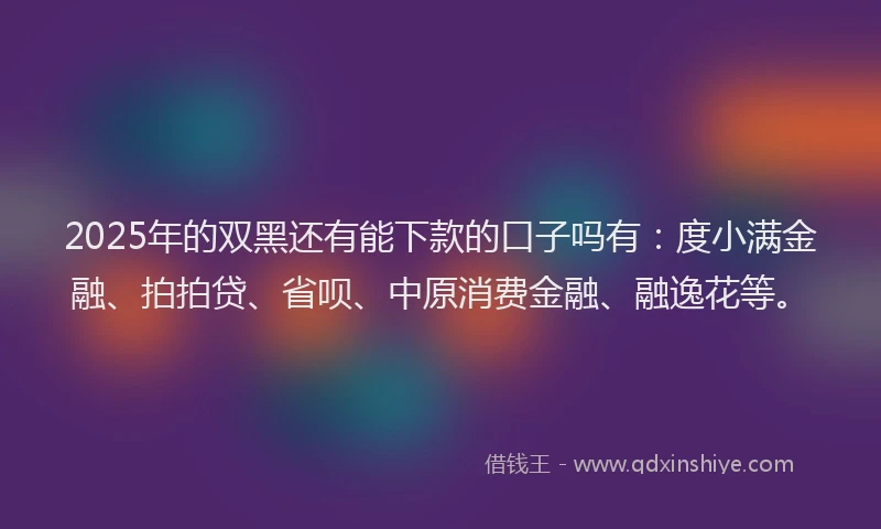 2025年的双黑还有能下款的口子吗有：度小满金融、拍拍贷、省呗、中原消费金融、融逸花等。