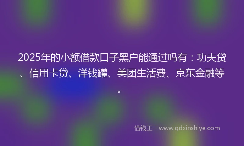 2025年的小额借款口子黑户能通过吗有：功夫贷、信用卡贷、洋钱罐、美团生活费、京东金融等。